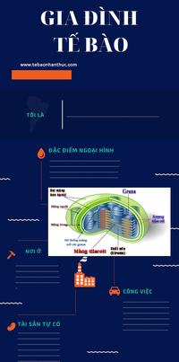 quang học hình học - Lớp 10 - Quizizz