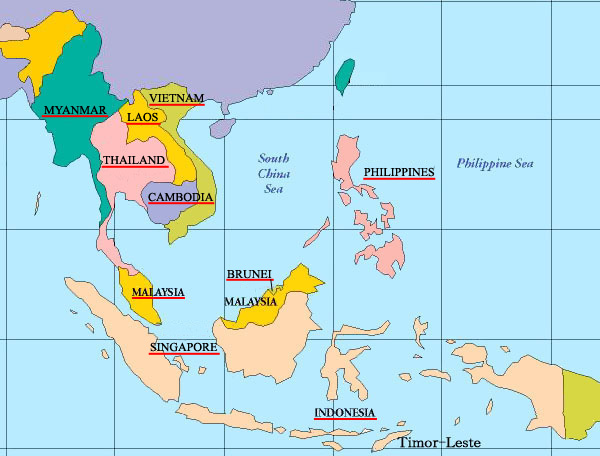 evolusi dan pohon kehidupan - Kelas 11 - Kuis