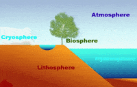 Spheres - Class 6 - Quizizz