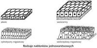 korzenie sześcienne - Klasa 7 - Quiz