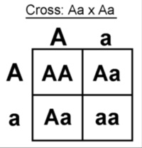 alkenes and alkynes - Grade 7 - Quizizz