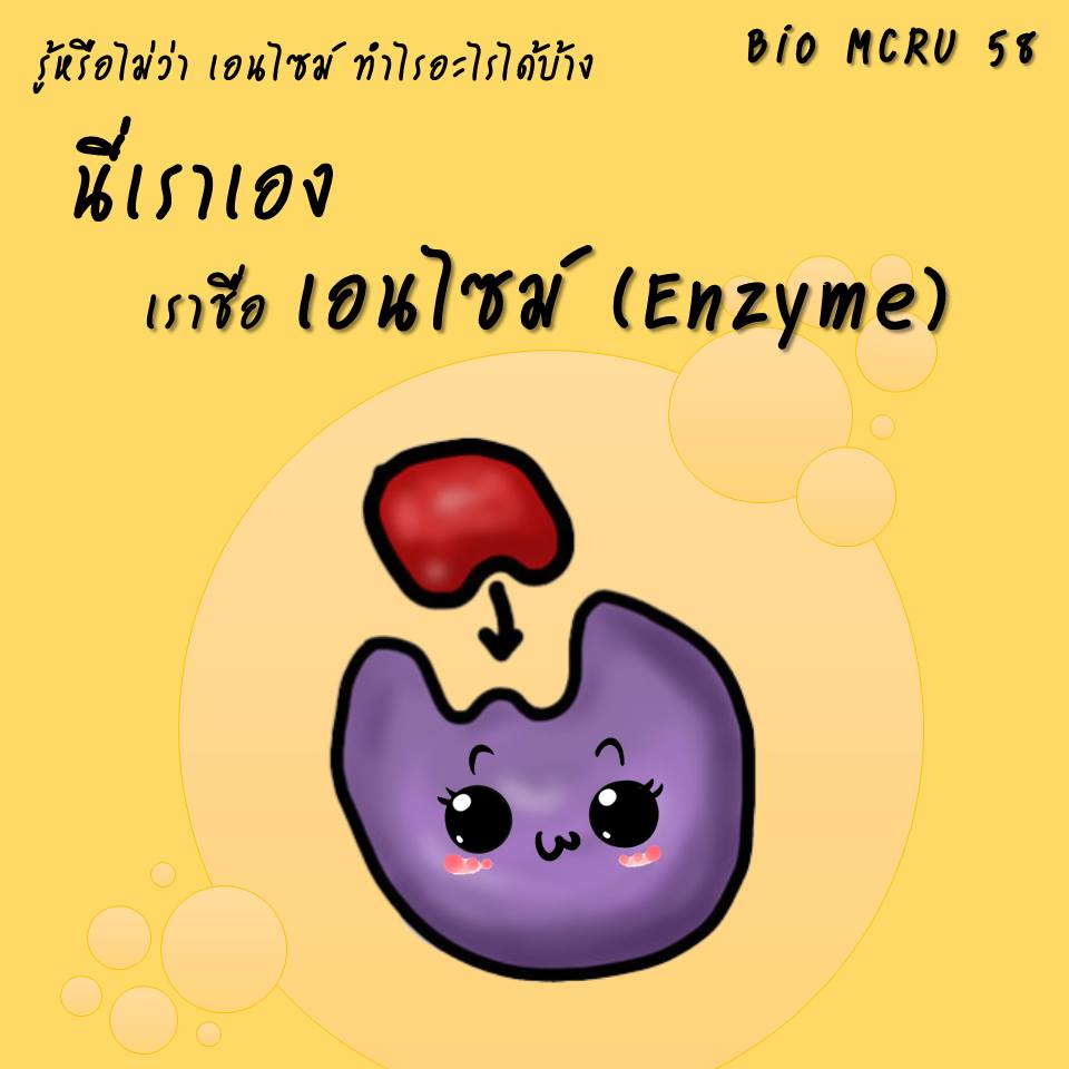 เอนไซม์ - ระดับชั้น 4 - Quizizz