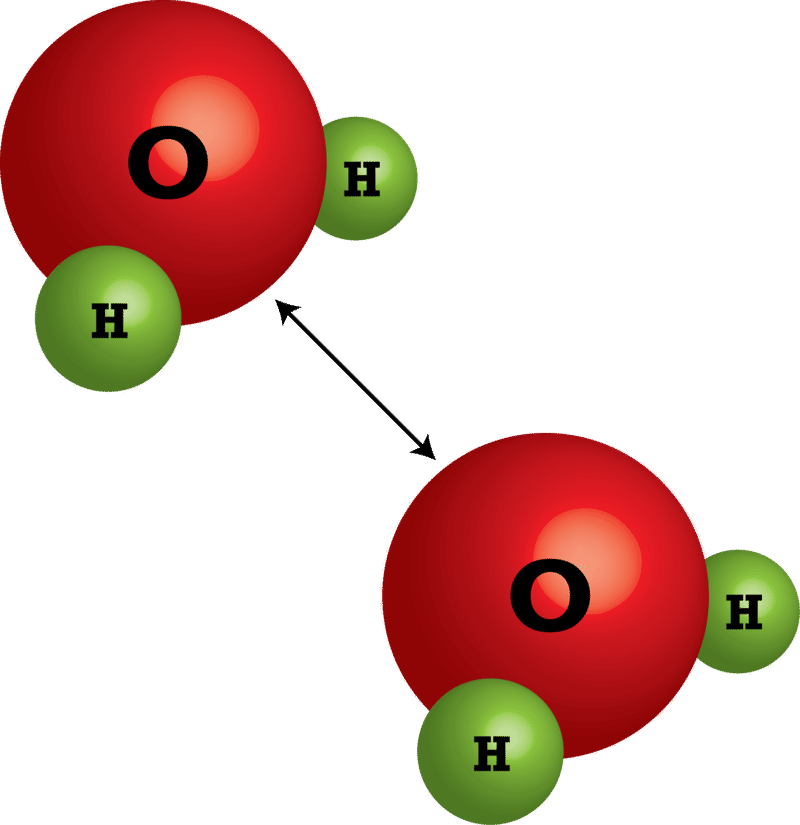 Forces and Interactions - Year 12 - Quizizz