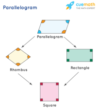 area of rectangles and parallelograms - Class 1 - Quizizz