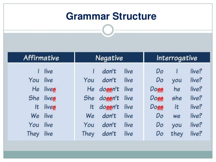 using-the-present-simple-tense-grammar-quiz-quizizz