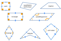 les quadrilatères