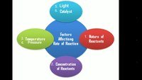 FACTORS AFFECTING RATES OF REACTIONS Quiz Quizizz