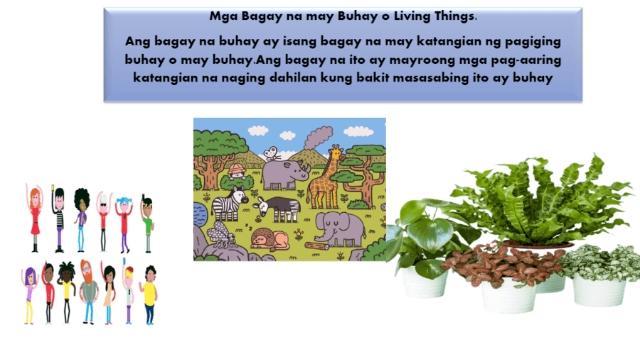Mga Uri Ng Bagay Na Walang Buhay - bagay tulala