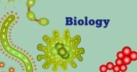 human biology - Grade 7 - Quizizz