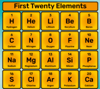 The Basics - Grade 7 - Quizizz