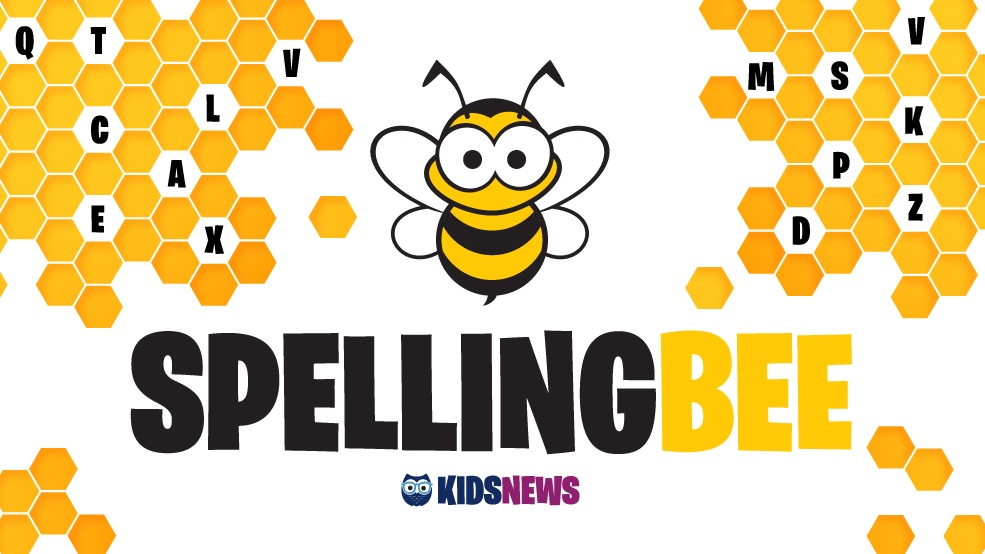 spelling-bee-2019-2020-one-bee-other-quiz-quizizz