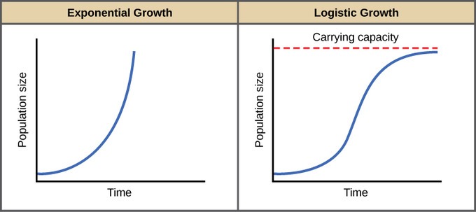 graphing-growth-environment-quiz-quizizz