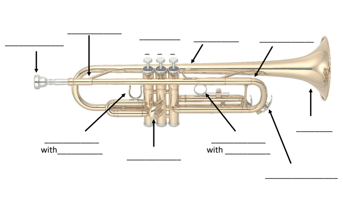 Parts of the Trumpet!