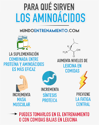 Aminoácidos - Grado 12 - Quizizz