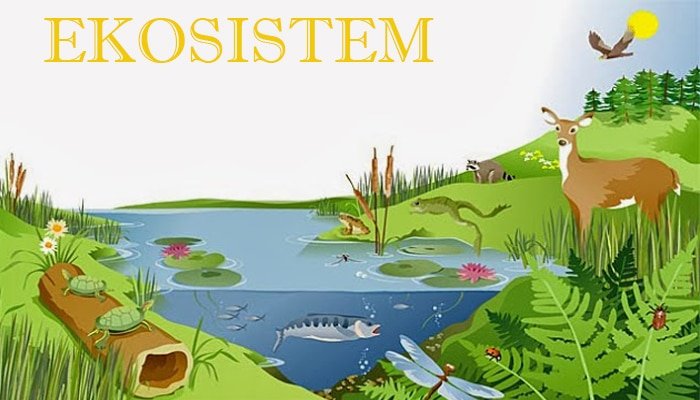 ekosistem - Kelas 12 - Kuis
