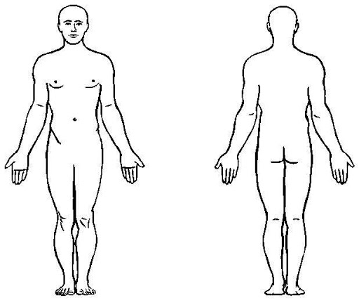 Cartões de anatomia - Série 10 - Questionário