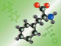 sintesis RNA dan protein - Kelas 3 - Kuis