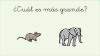 animales - Grado 8 - Quizizz