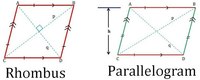 properties of quadrilaterals - Year 12 - Quizizz