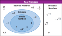 Numeros irracionales - Grado 7 - Quizizz