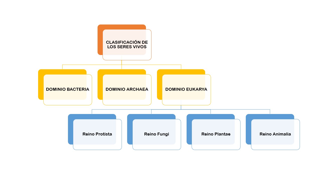 organismos del reino archaea