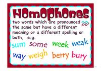 Homophones and Homographs - Class 2 - Quizizz