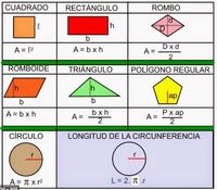 Área y circunferencia de un círculo - Grado 8 - Quizizz