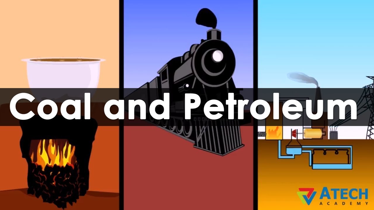 Coal and Petroleum