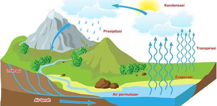 Soal Ulangan Ipa Kelas 5 Siklus Air Biology Quizizz