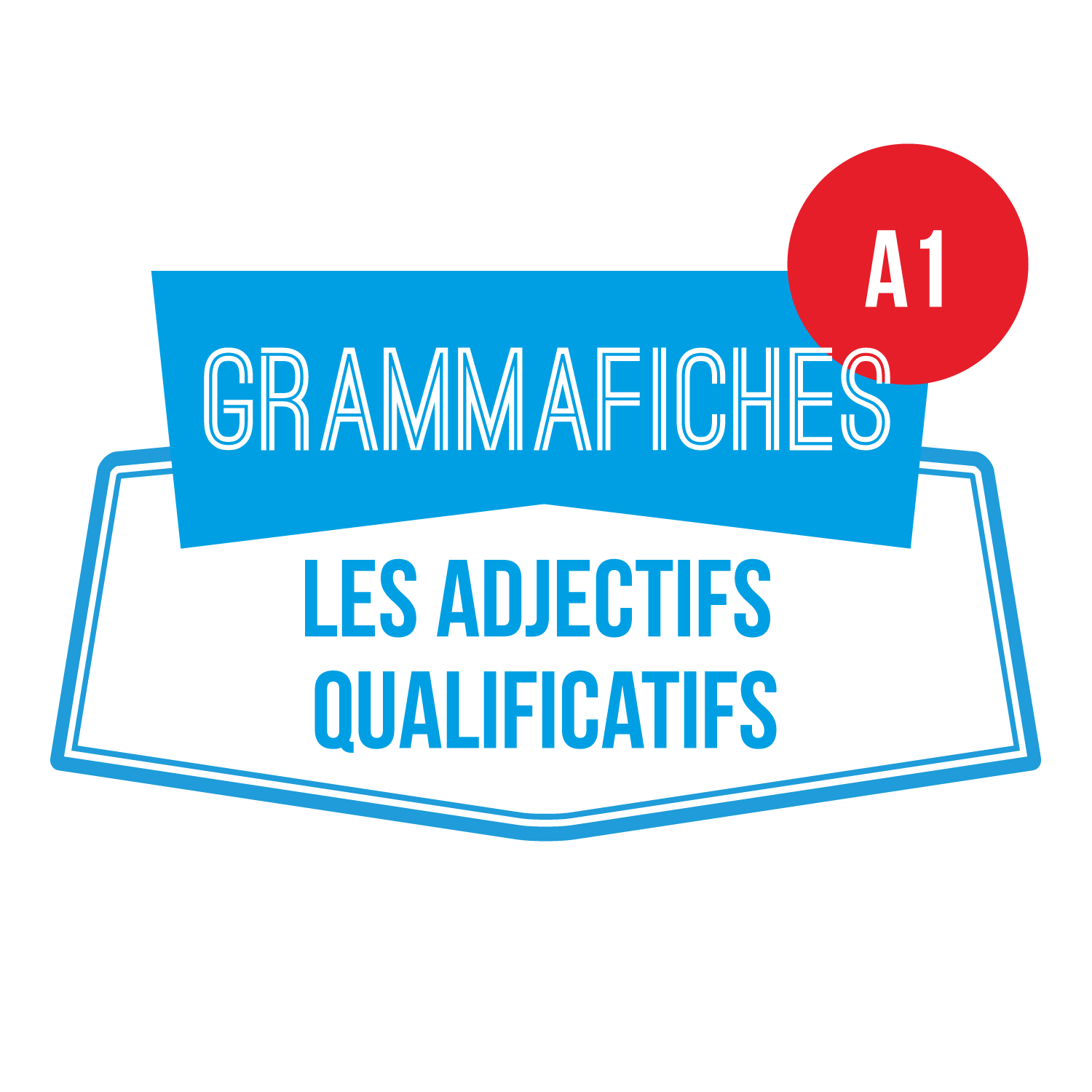 Unité 2.5 : Le féminin des adjectifs qualificatifs