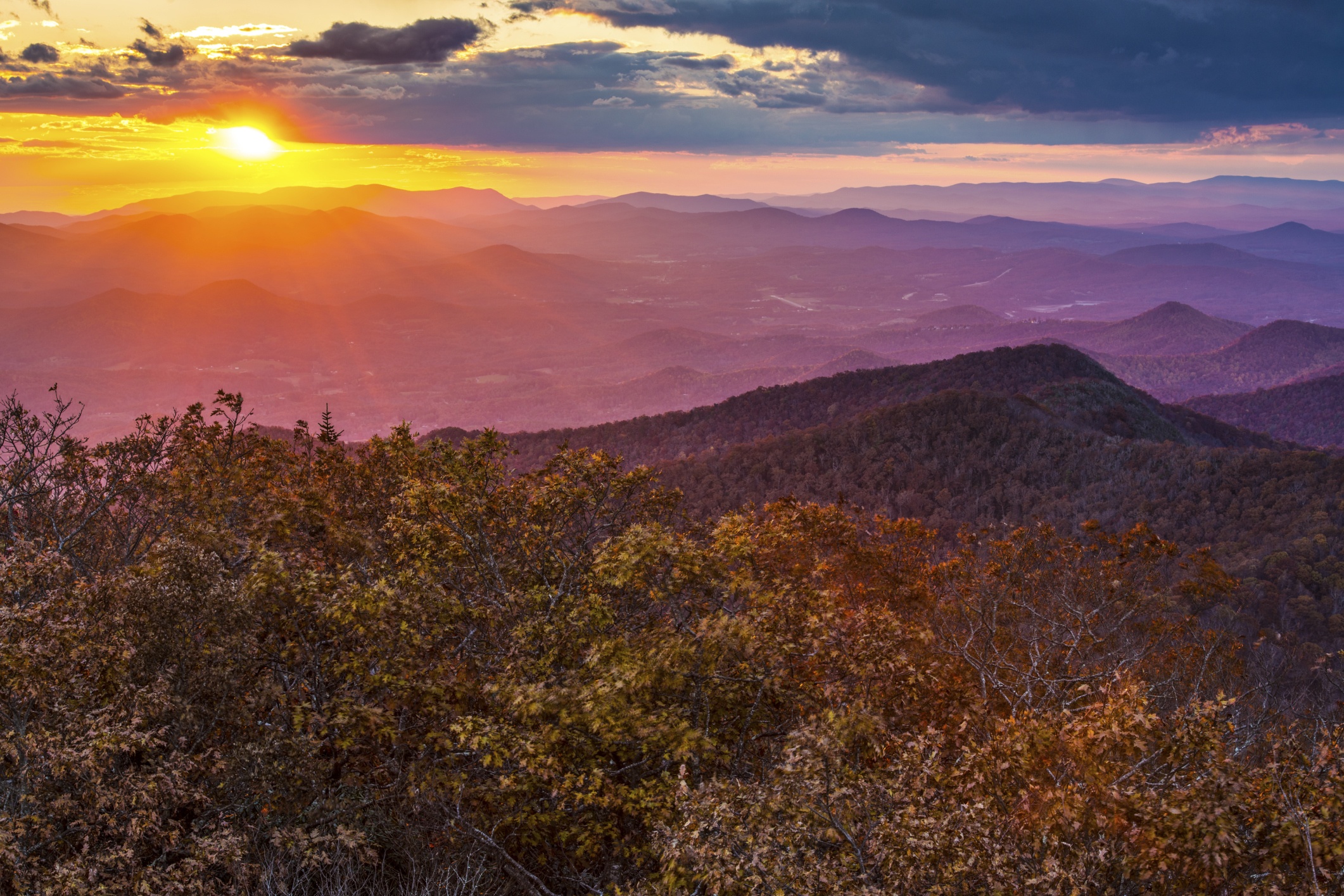 Georgia Mountain Habitat