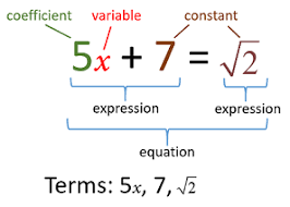 8 Algebraic Expressions | Mathematics - Quizizz