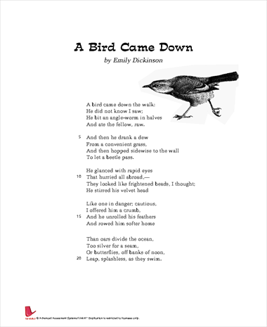 A Bird Came Down The Walk | Quizizz