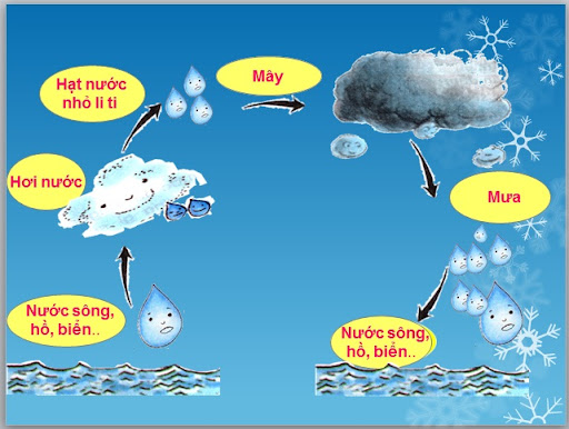 Khối lượng của một xi lanh - Lớp 3 - Quizizz