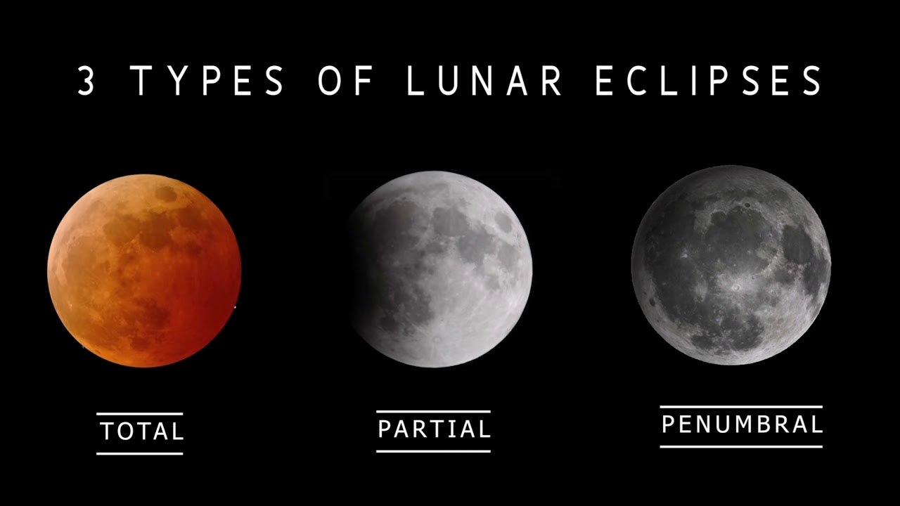 Solar Eclipses Vs. Lunar Eclipses 2nd | Science - Quizizz