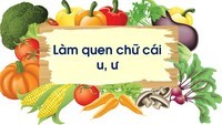 Chữ U Flashcards - Quizizz