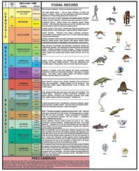 fossils Flashcards - Quizizz