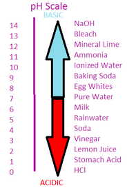 Acids and Bases