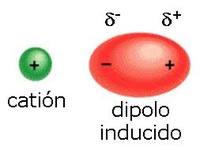 estados de la materia y fuerzas intermoleculares - Grado 10 - Quizizz