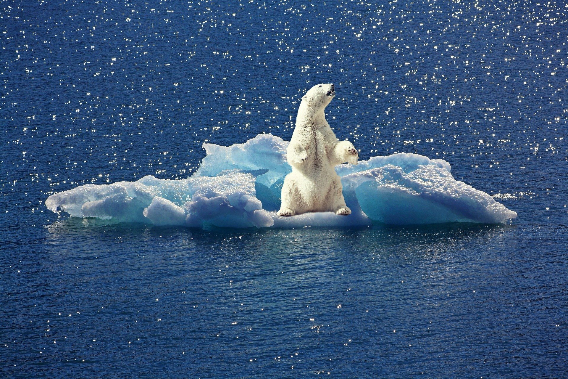 El clima mundial y el cambio climático. - Grado 10 - Quizizz