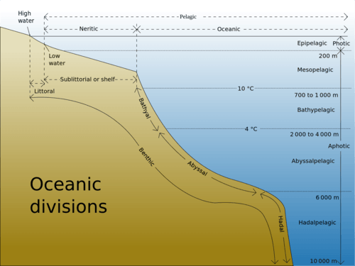 Ocean Layers and Zone