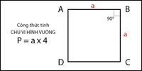 Hình vuông - Lớp 3 - Quizizz