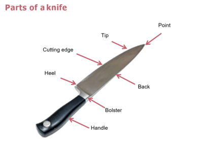 Knife Parts Guide: Identify the Cutting Edge, Heel, and More