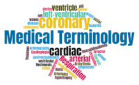 Medical Terminology - Year 9 - Quizizz