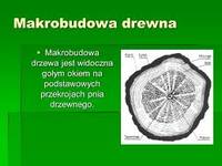 Przyrostki - Klasa 4 - Quiz