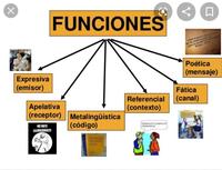 derivadas de funciones exponenciales Tarjetas didácticas - Quizizz