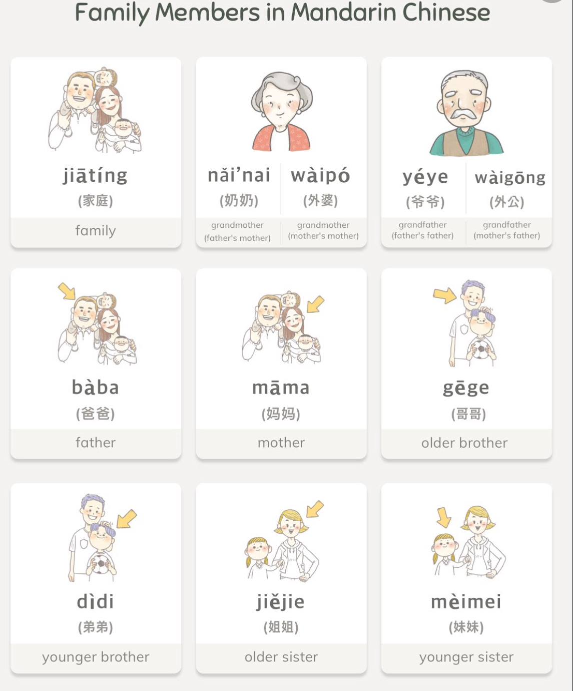 family-members-in-chinese-quiz-quizizz