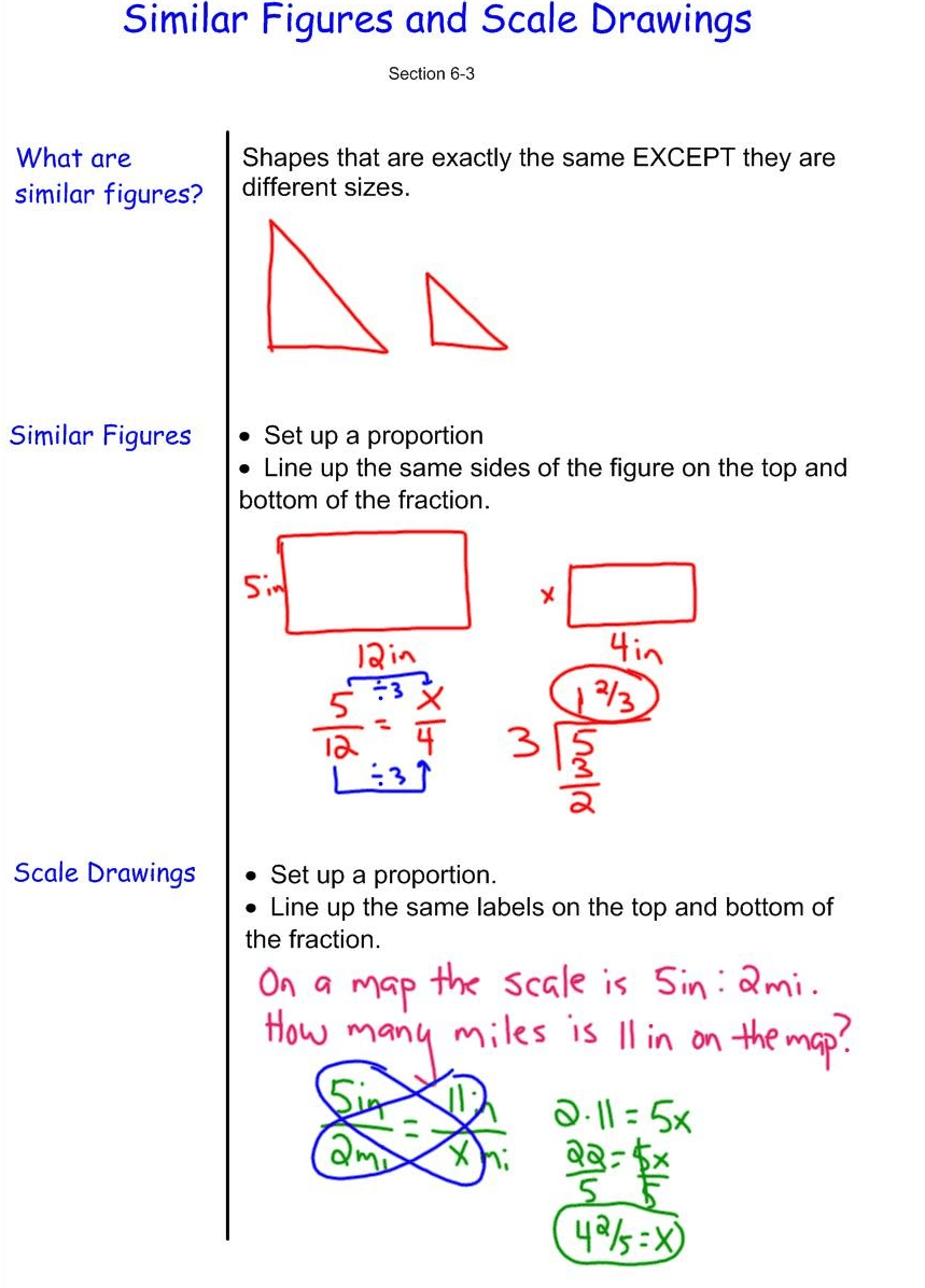 7.5C similar shapes/scale drawings Quiz - Quizizz