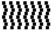 transversal de rectas paralelas - Grado 11 - Quizizz