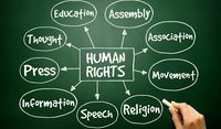 Human Rights Quiz/Study Guide